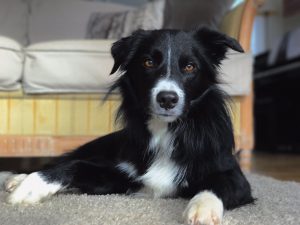 IMG_0553